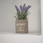 Joanna's